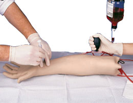 动脉针刺臂模型-德国3B-W44022
