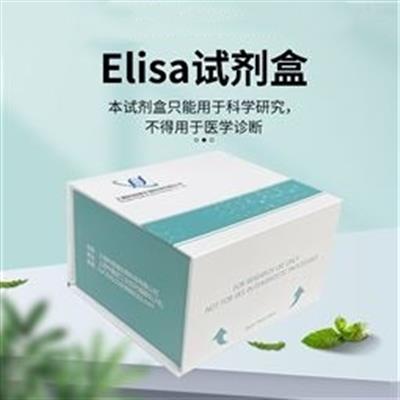 人泛素蛋白 Ub ELISA试剂盒