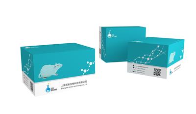细胞色素b5含量检测试剂盒