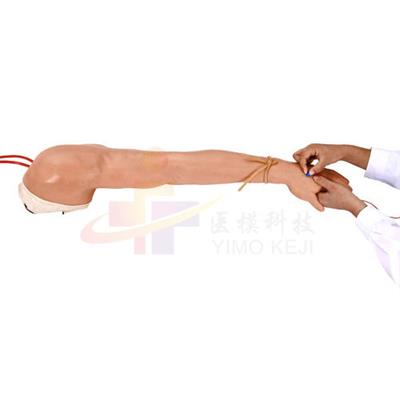 精装静脉注射及穿刺操作左手臂模型