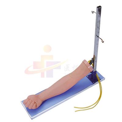 静脉注射操作手臂模型（带支架）