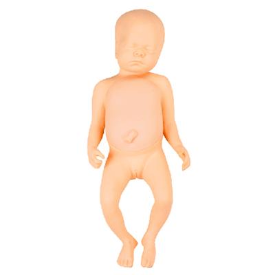 高级足月胎儿模型(男婴、女婴任选)FT2