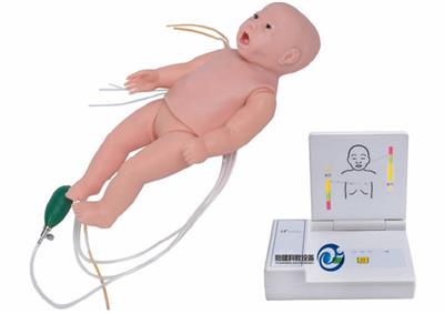 高级新生儿脐带护理模型H132