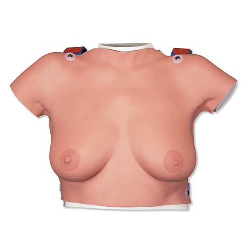 着装式乳房自检模型-德国3B-L51