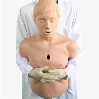 高级成人气道梗塞及CPR模型YK5656