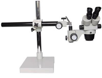 显微镜XT600
