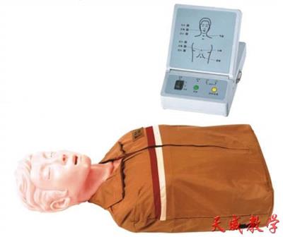 半身心肺复苏训练模拟人TW-CPR200