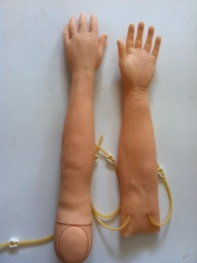 高级手臂静脉穿刺及肌肉注射训练模型（可换外皮）QY114-45B
