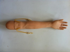 精装静脉注射及穿刺操作（左手臂）模型QY114-45A
