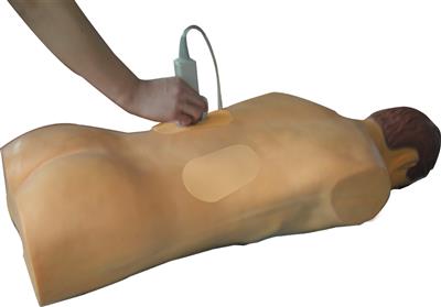 高仿真超声、X线引导经皮穿刺肾镜技能训练人体模型QY-CS10310