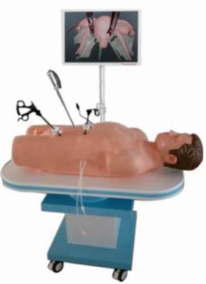 腹腔镜训练人体模型QY-FQJ10900