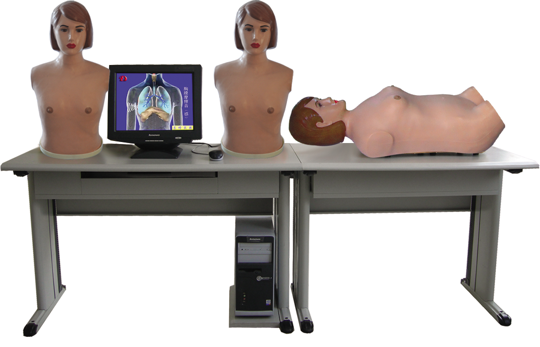 智能型网络多媒体胸腹部检查综合教学系统 （学生机）QY-XF2011A