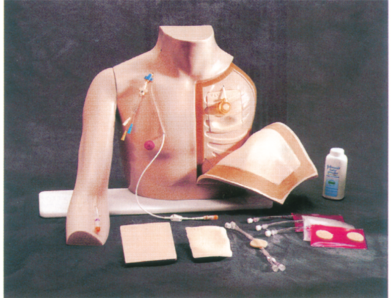 胸部注射训练模型QY-XZ