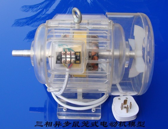 透明教学电机模型MYMX-03转子供电交流同步电动机模型