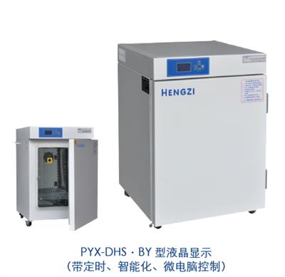 隔水式电热恒温培养箱HGPF-270
