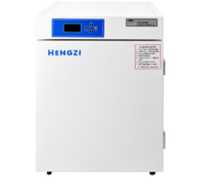 二氧化碳细胞培养箱水套式HWJ-3-270