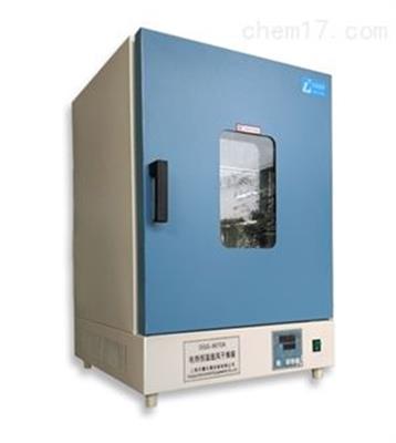 工业用电热恒温小烤箱DGG-9600A
