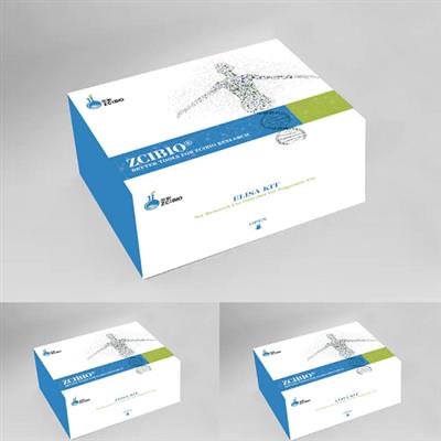 Mouse Pentraxin 3（PTX3） ELISA Kit
